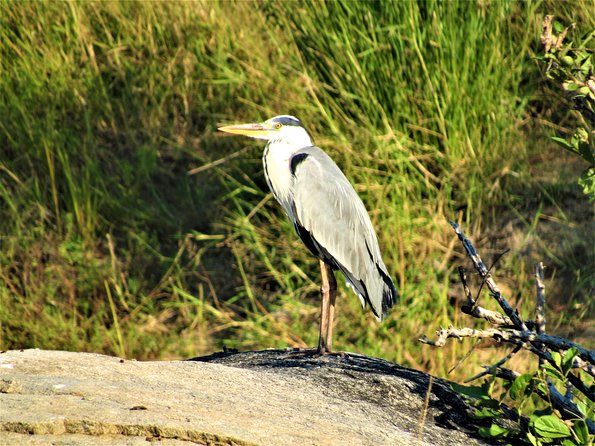 Morning Kruger National Park Safari - Safety Guidelines