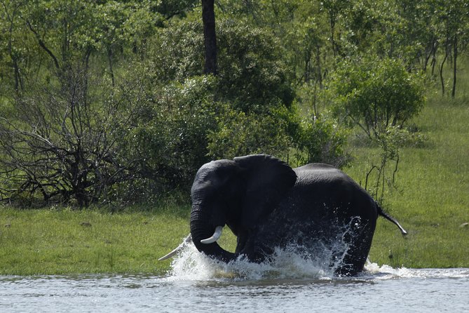 Morning Safari in Kruger National Park From Hazyview (Am Knp) - Common questions