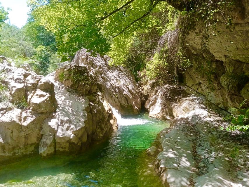 Mountain Train From Nice : Hike, Mystic Forest, Meteors Rain - Picnic Stop With Local Delicacies