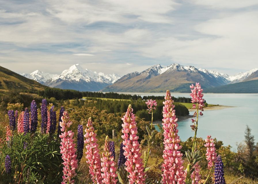 Mt. Cook Day-Tour: Christchurch to Queenstown - Common questions