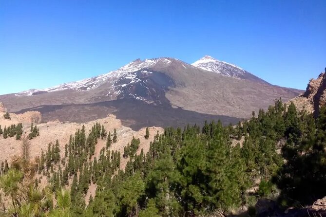 Mt Teide Volcano Night Guided Tour From Southern Tenerife - Last Words