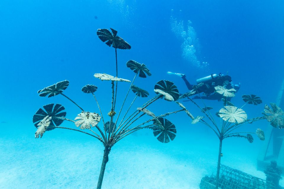 Museum Of Underwater Art & Great Barrier Reef Day Trip - Background Information