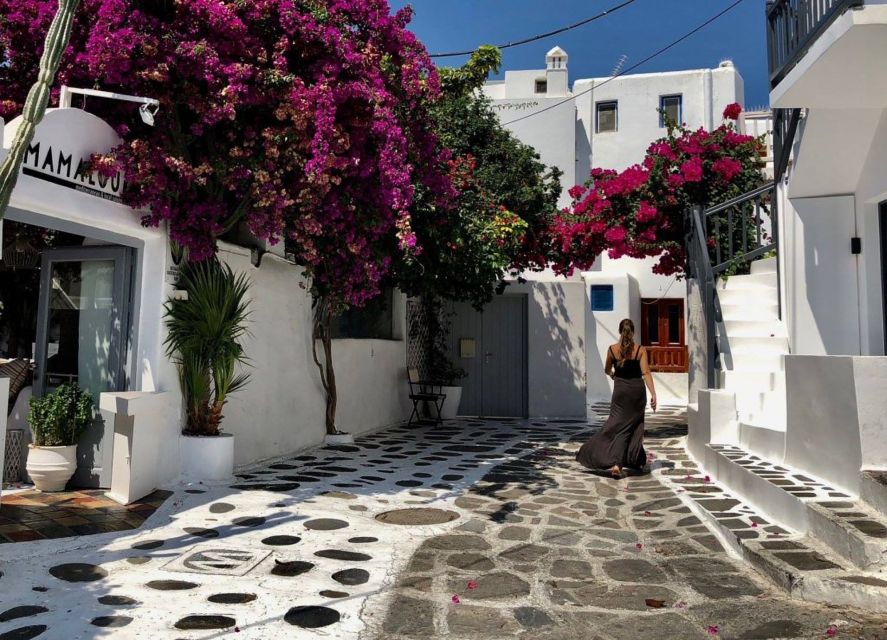 Mykonos: Full-Day Sightseeing Tour With Lunch - Review Highlights