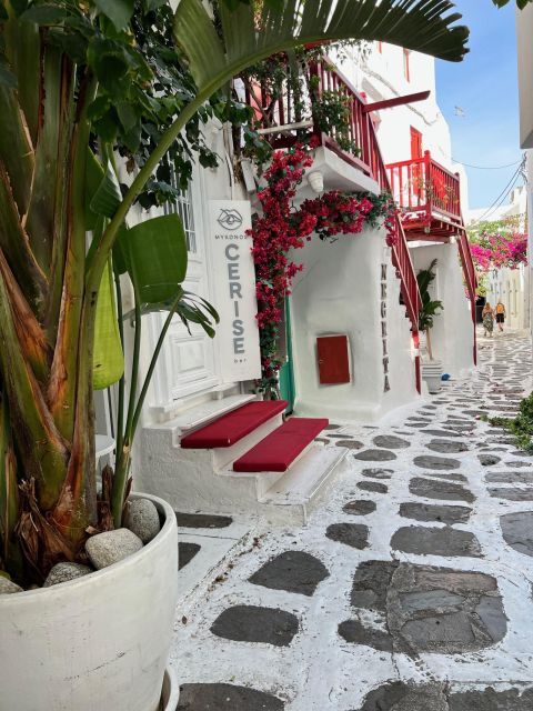 Mykonos Highlights Private Tour From Airport or Cruise Port - Booking Process