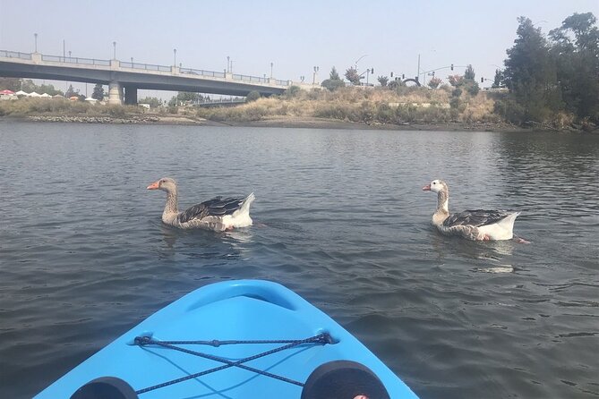 Napa Valley River History Kayak Tour: 2 Person Tandem - Inclusions Provided