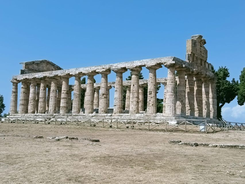 Naples: Go to Paestum by Car and Visit the Temples - Last Words