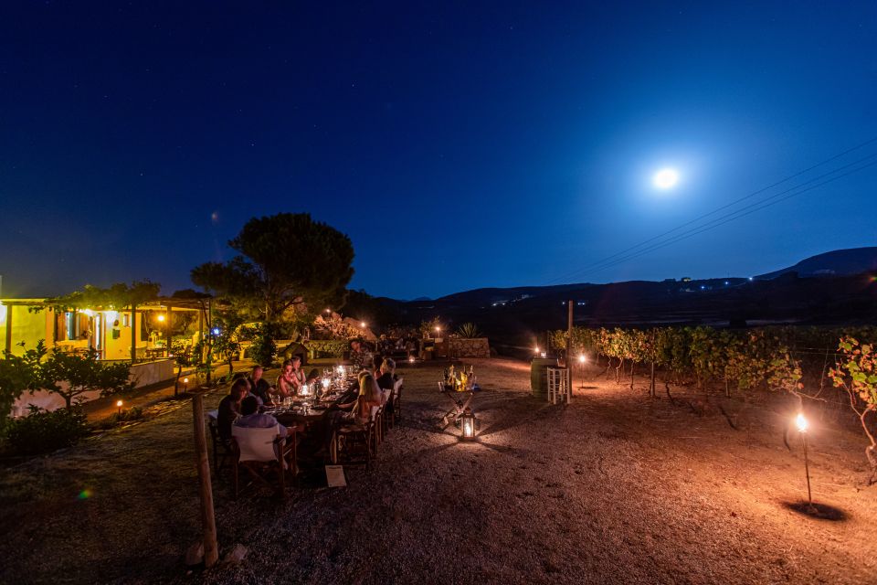 Naxos: Full Moon Dinner and Wine Tasting in a Vineyard - Common questions