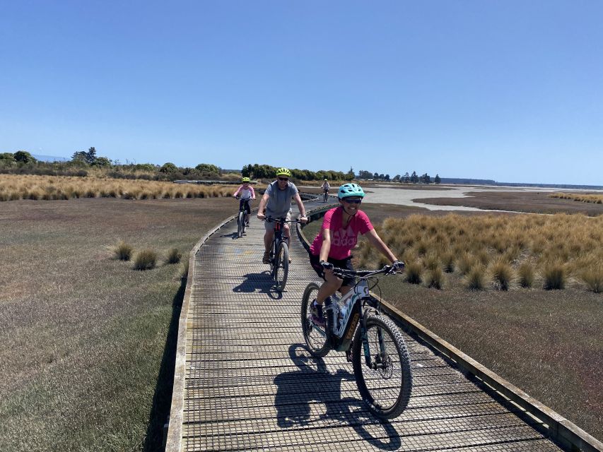 Nelson: Self-Guided Tunnel to Town Cycling Tour via Mapua - Bike Quality and Scenic Views