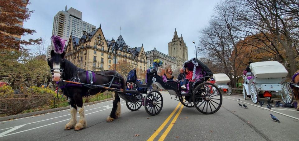 New York City: Private Horse Carriage Tour - Common questions