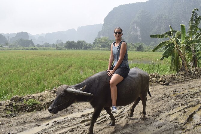 Ninh Binh Eco Group Tour - Buffalo Riding, Rice Planting, Fishing - Cancellation Policy