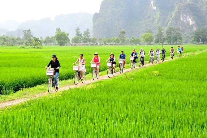 Ninh Binh Full Day Tour With Hoa Lu, Tam Coc and Mua Cave - Scenic Hike to Mua Cave