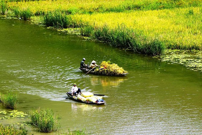 Ninh Binh-Hoa Lu-Tam Coc - Mua Cave - Dragon Mountain Hiking 1 Day Tour - Booking Information