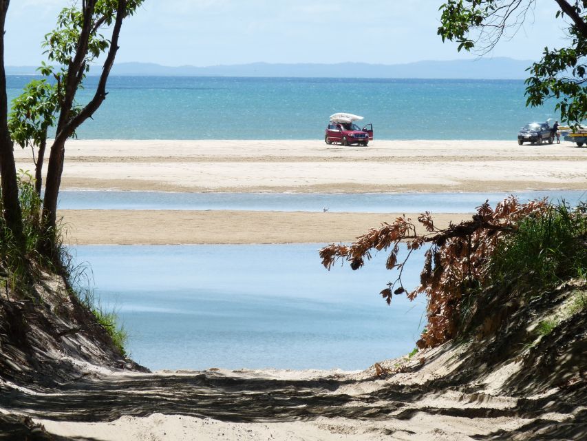 Noosa to Rainbow Beach: 4-Wheel Drive Tour in Great Sandy NP - Reviews and Testimonials