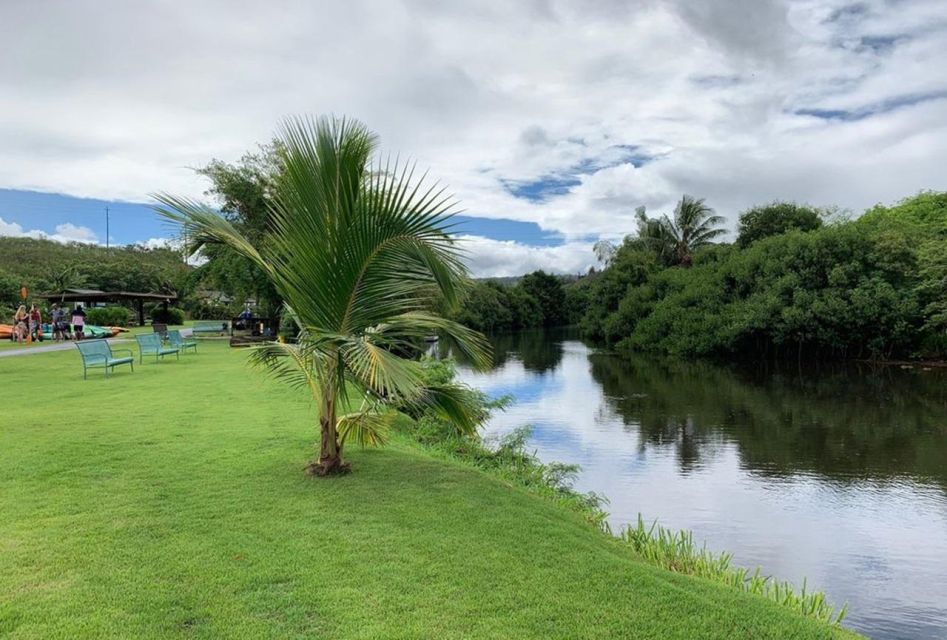 North Shore's Best Day! River, Turtles, Farm With Lunch - Farm Animals Interaction