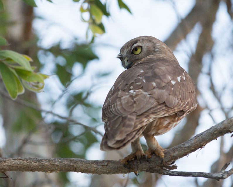 Northern Territory: Corroboree Billabong Nature Cruises - Common questions