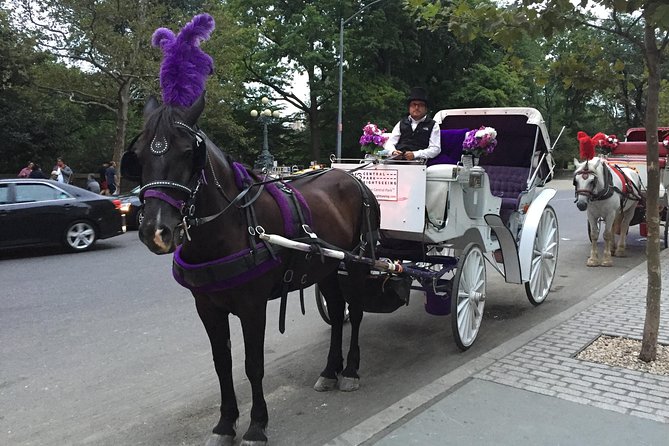 NYC Central Park Horse and Carriage Ride: Long Ride 45 Min - Additional Information and Pricing