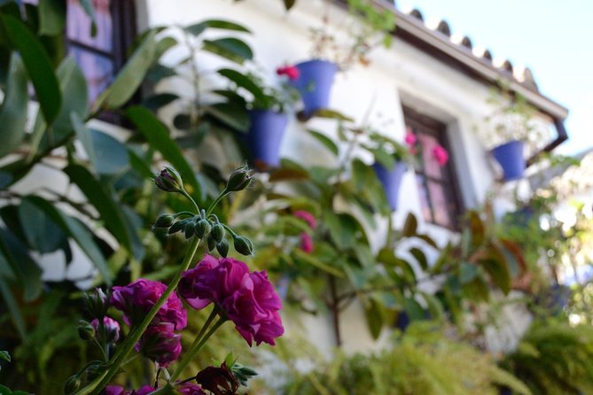 Off the Beaten Path. Cordoba Patios Private Tour - Additional Information and Support