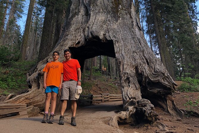 One Day In Yosemite Private Tour:Yosemite Valley, Glacier Point & Giant Sequoias - Pricing Details