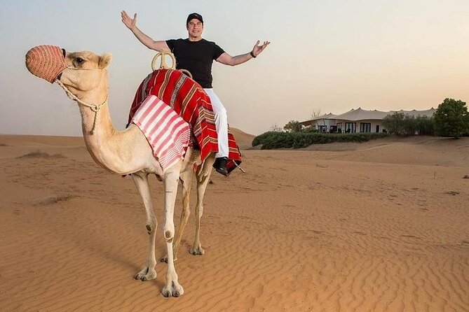 One Hour Horse or Camel Riding With Transfer- Sharm El-Sheikh - Pricing Details