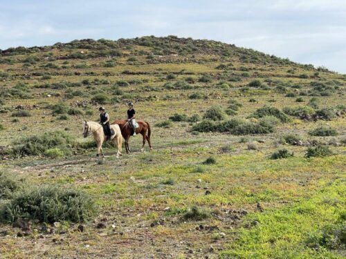 One Hour Horse Riding Tour in Gran Canaria - Important Information