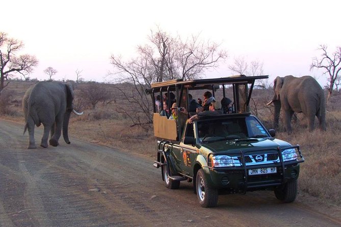 Open Vehical Safari in Kruger National Park Half Day - Last Words