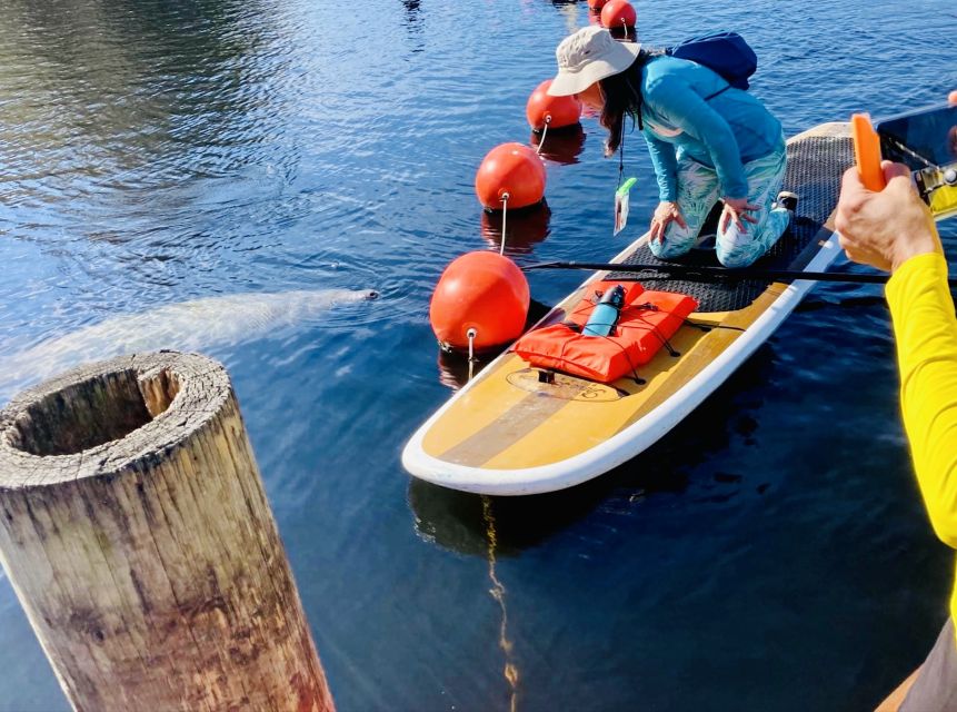 Orange City: Blue Spring State Park SUP & Kayaking Tour - Safety Measures