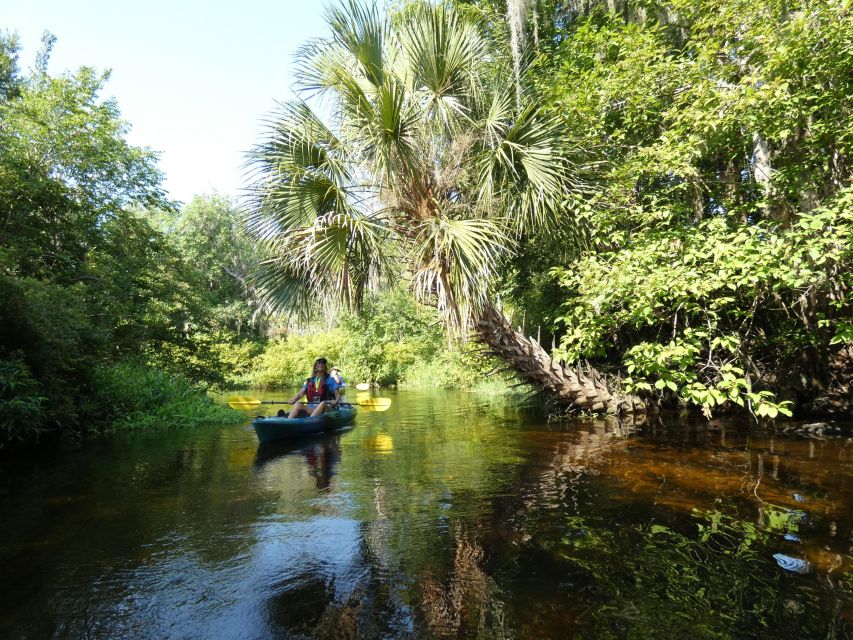 Orlando: Small Group Scenic Wekiva River Kayak Tour - Directions