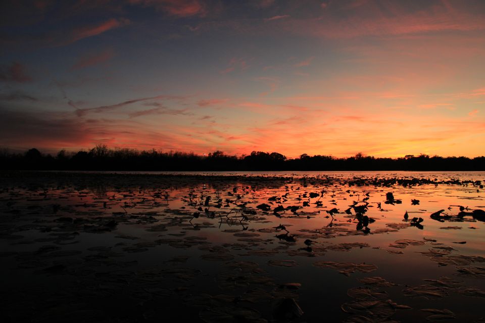 Orlando: Sunset Guided Kayaking Tour - Cancellation Policy