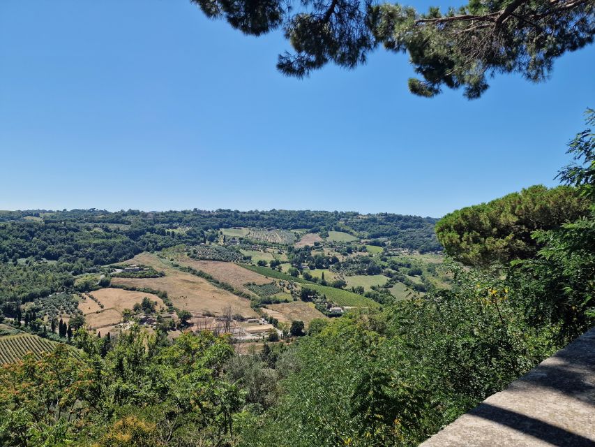 Orvieto the Etruscan City Private Tour From Rome - Accessibility and Cancellation Policy