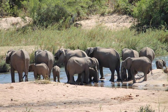 Overnight Kruger National Park Classic Camping Safari - Last Words