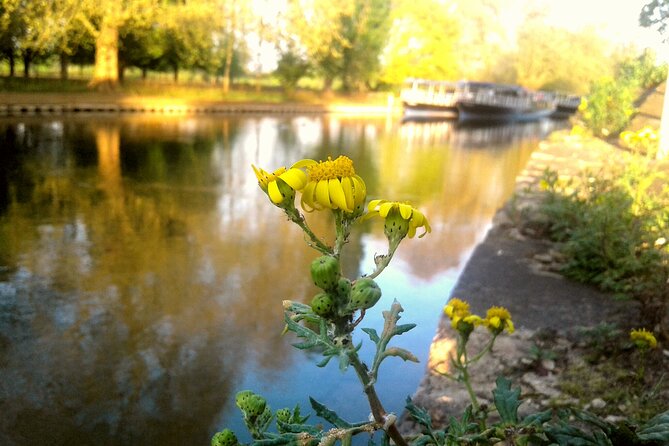 Oxford River Cruise Walking Tour to Iffley Village - Common questions