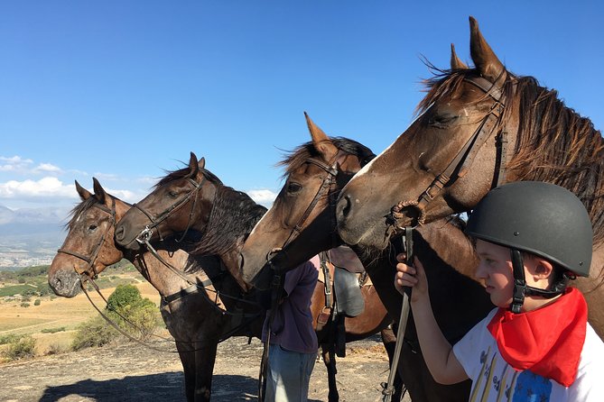 Paarl Small-Group Horseback Riding Tour  - Stellenbosch - Common questions