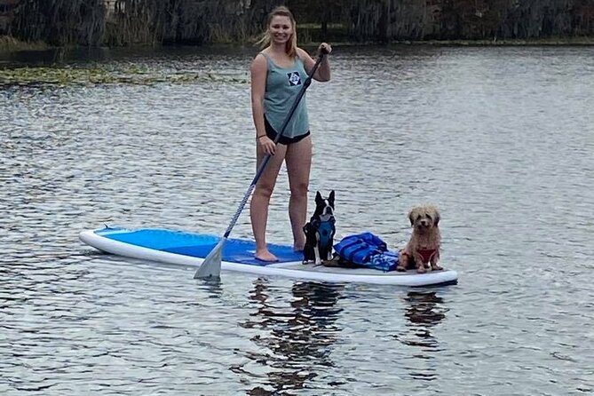 Paddleboarding With Dogs and Rabbits  - Orlando - Additional Info