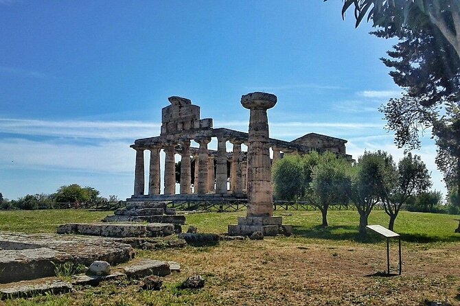 Paestum Park and Bufalo Farm Day Tour From Sorrento - Common questions