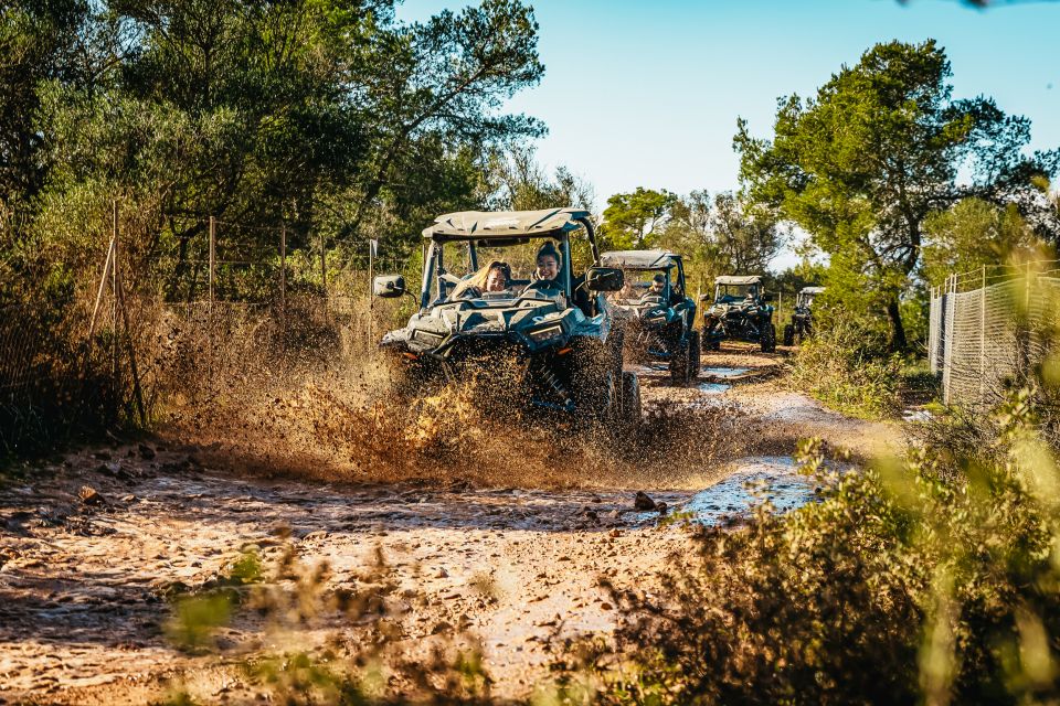 Palma De Mallorca: Off/On Road Buggy Tour With 2 or 4 Seater - Activity Details