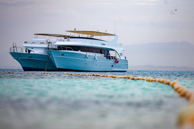 Paradise Island Snorkeling Sea Trip & Floating Aqua Park With Lunch - Hurghada - Last Words
