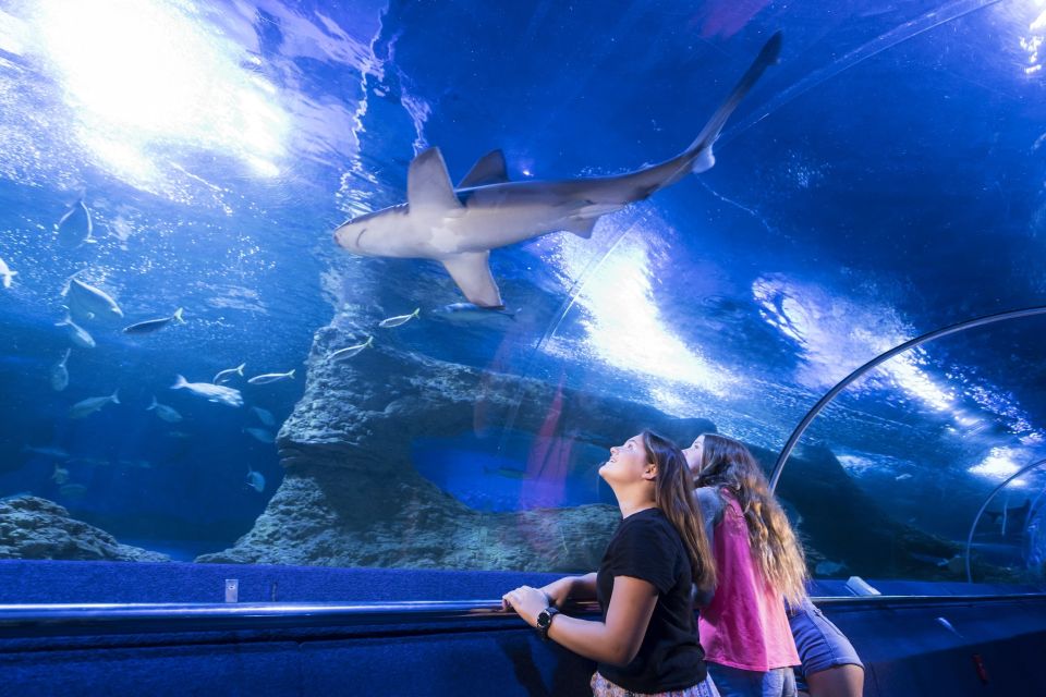 Perth: AQWA Aquarium of Western Australia Entry Tickets - Opening Hours and Operational Days