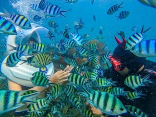 Phu Quoc: Nautilus Namaste, Seawalking at the Cruise - Flexible Booking Options