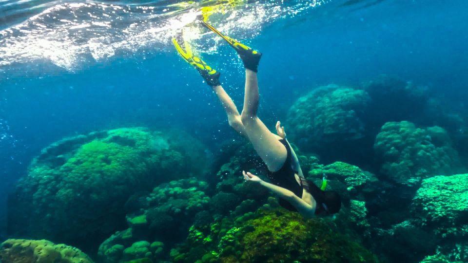 Phu Quoc: Snorkeling Discover Southern, Northern Coral Reefs - Common questions