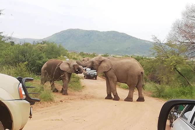 Pilanesberg National Park 3-Day Safari With Accommodation  - Johannesburg - Last Words