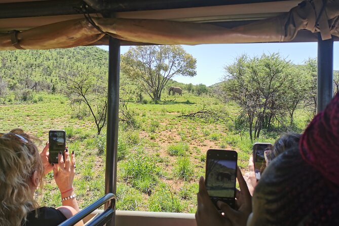 Pilanesberg National Park Safari From Johannesburg - Last Words