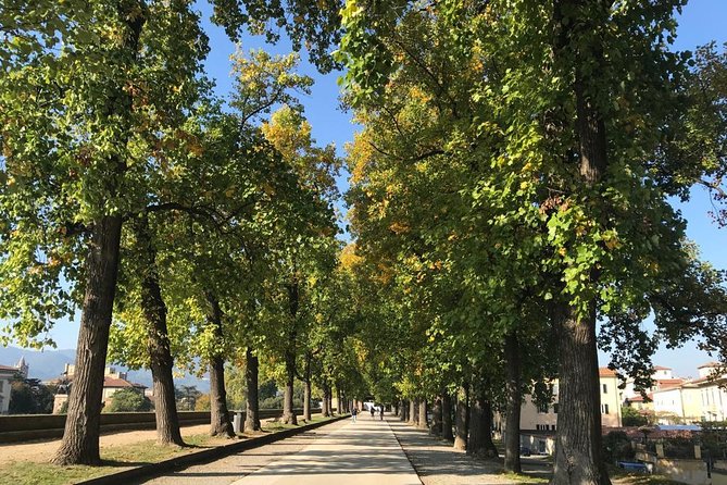 Pisa and Lucca From the Livorno Cruise Port - Shopping and Souvenirs in Pisa and Lucca