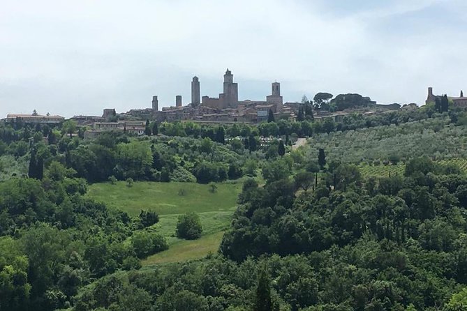 Pisa, Volterra and San Gimignano Private Tour From Florence - Inclusions and Exclusions