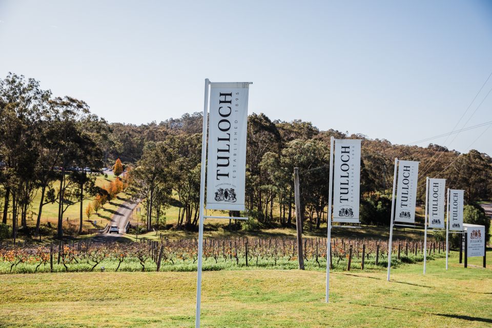 Pokolbin: Tulloch Hunter Heroes Wine Tasting & Cheese Board - Itinerary and Directions