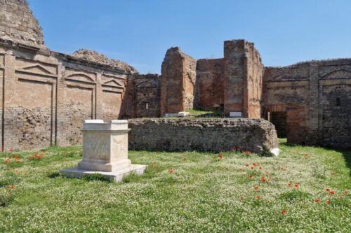 Pompeii and Herculaneum Private Day Tour From Rome - Common questions