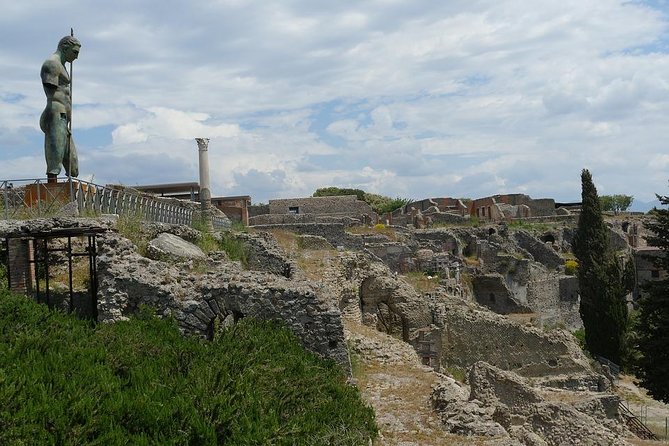 Pompeii and Herculaneum Skip-The-Line Full Day Tour With a Private & Local Guide - Booking Process