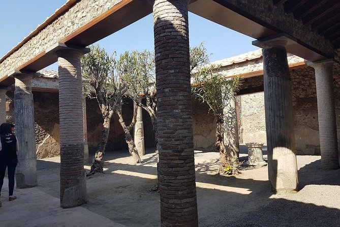 Pompeii and Naples From Rome: Full Day Private Tour With Lunch - Common questions