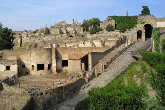 Pompeii Ruins Private Guided Tour From Naples - Last Words