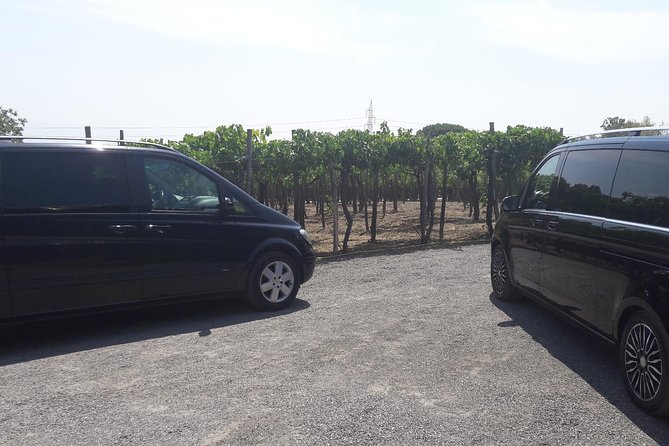 Pompeii Sorrento Positano Private Driver/Guide - Review Response and Acknowledgment
