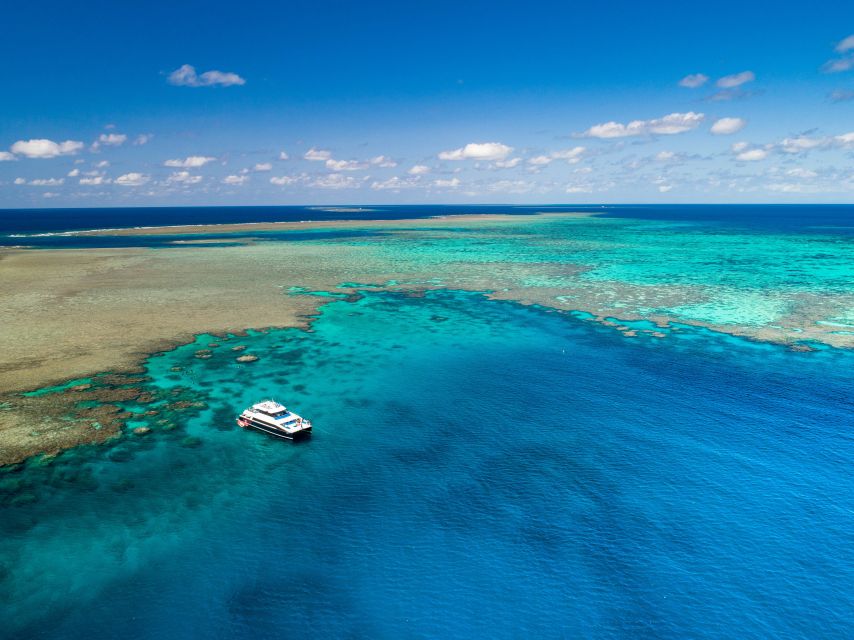 Port Douglas: Outer Barrier Reef Snorkel Cruise & Transfer - Additional Tips